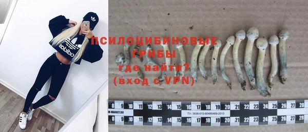 хмурый Абдулино