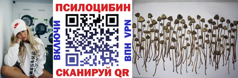 Псилоцибиновые грибы GOLDEN TEACHER  Ярославль 