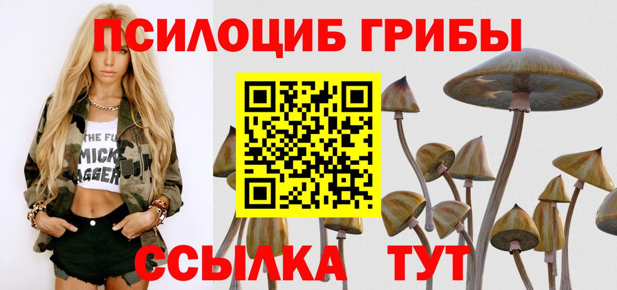 Ярославль  Галлюциногенные грибы Magic Shrooms  Вход с VPN 